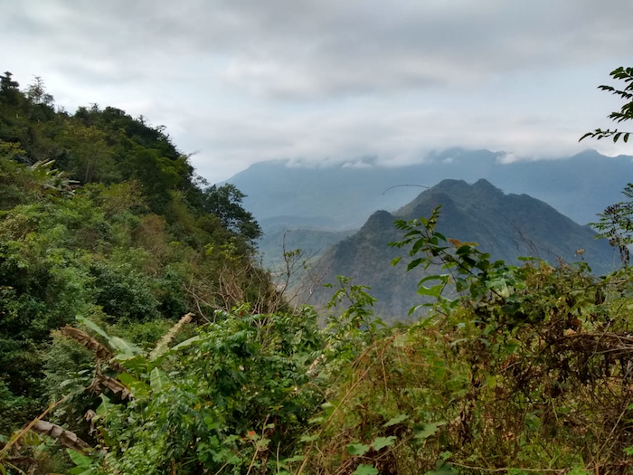 A view of mountains topped by smoky clouds and hidden by lush green Vietnam forests.
