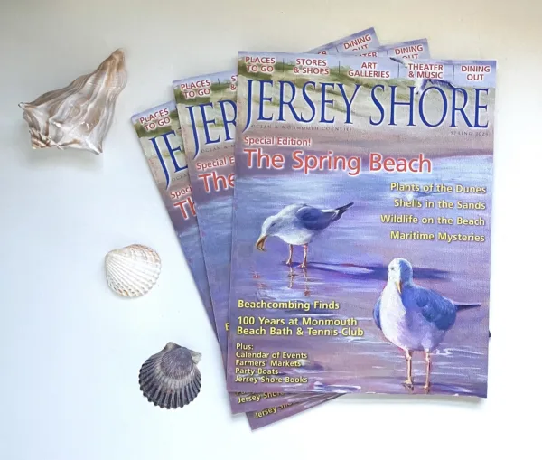 To the right, a fanned stack of "Jersey Shore" magazines showing seagulls on the beach. To the left, various seashells.